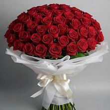 Букет 101 Красная роза Блэк Мэджик в Кильмези