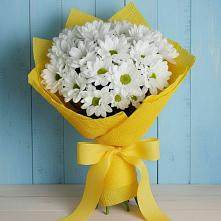 Букет цветов из:  Хризантемы в Кильмези