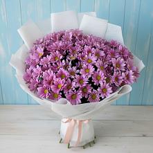 Букет цветов из:  Хризантемы в Кильмези