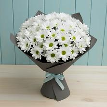 Букет цветов из:  Хризантемы в Кильмези