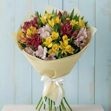 Букет цветов из:  Альстромерии в Кильмези