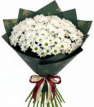 Букет цветов из:  Хризантемы в Кильмези