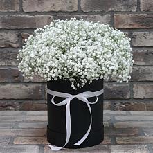 Цветочная композиция из Гипсофила в шляпной коробке #REPLACE_PRED# Кильмези