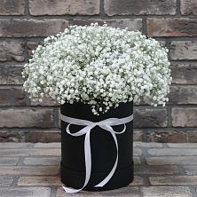 Цветочная композиция из Гипсофила в шляпной коробке в Кильмези