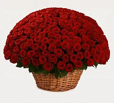 Премиум букет из: Розы #REPLACE_PRED# Кильмези